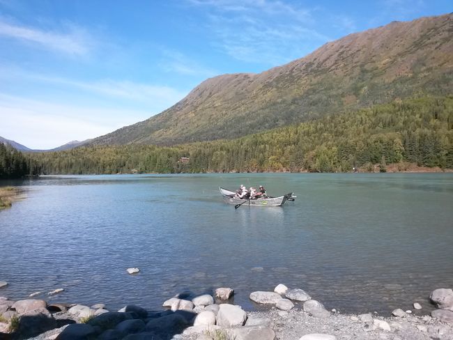 From Homer to Anchorage - with bear, red salmon, and a moose