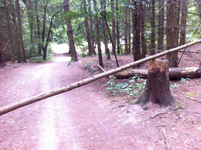 Sicherer Radweg 👏