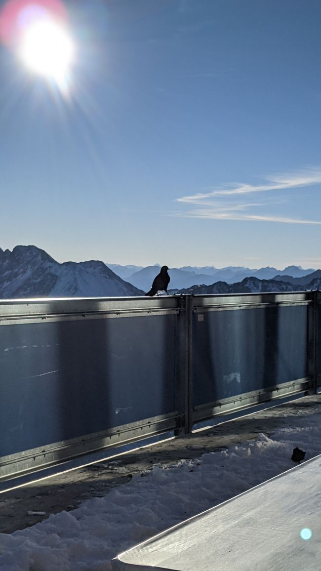 Da a ɛtɔ so 9: Ɔyare a ɛwɔ sorosoro - Skiing - Iceman Ötzi Peak