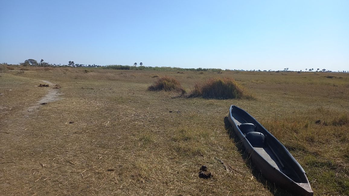 Iz delte Okavanga
