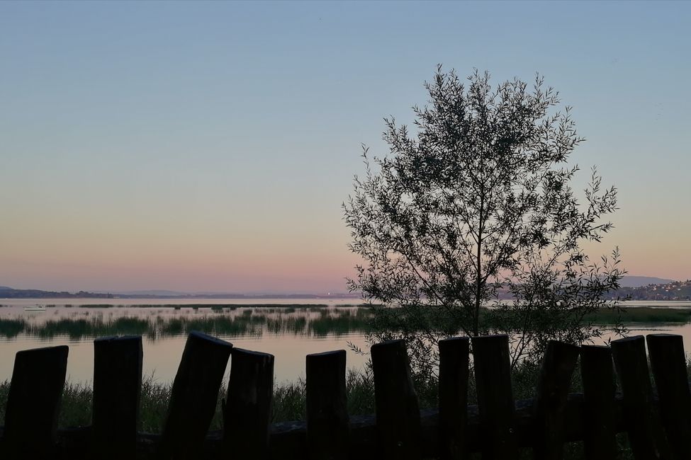 Lac de Morat bei Sonnenaufgang 🥰