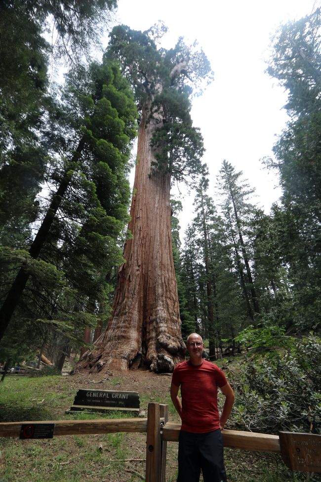 Giganta renkontiĝo en Sequoia kaj Kings Canyon NP/Kalifornio