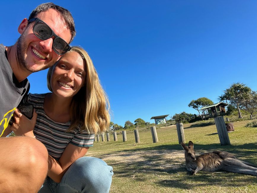 Yuraygir Nationalpark mit Känguru-Selfie