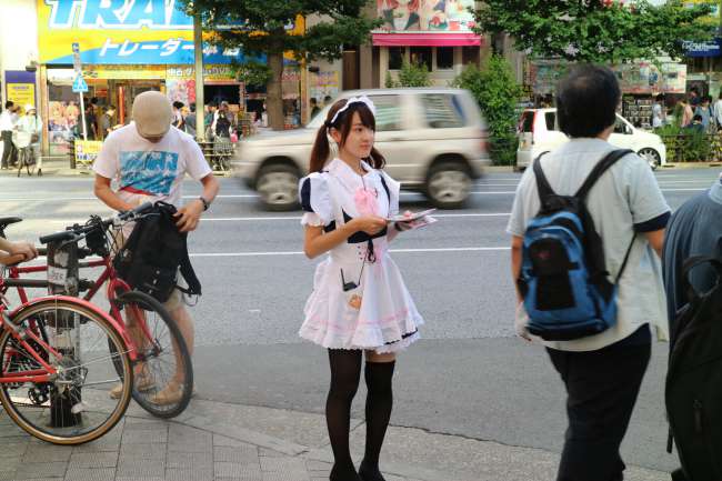 Maid in Akihabara
