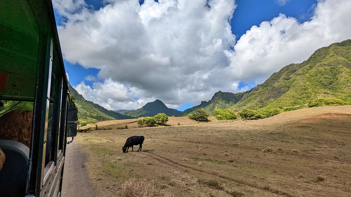 Tag 24 Oahu – Kualoa Ranch, North Shore und Dole Plantation