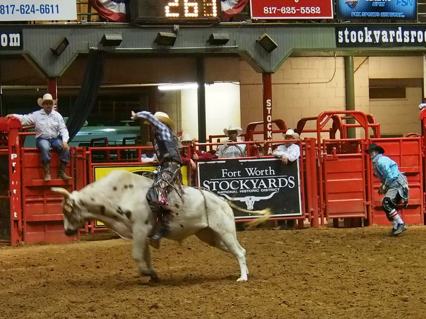 Fort Worth & a Rodeo