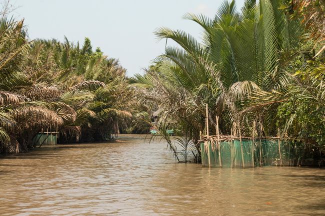 Express trip in the MEKONG DELTA