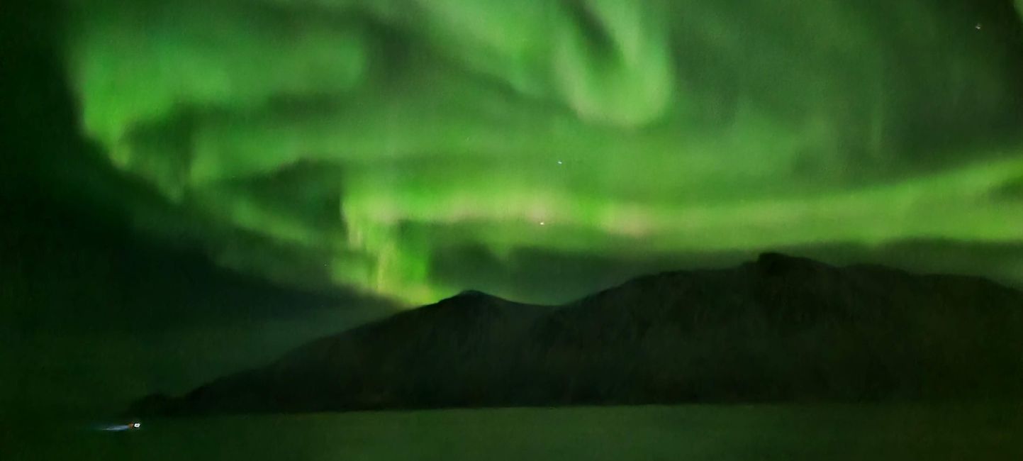 Hurtigruten Richard With
26th December 2022