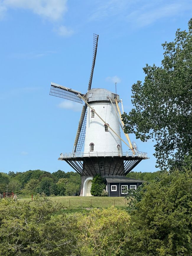 Windmühle De Koe