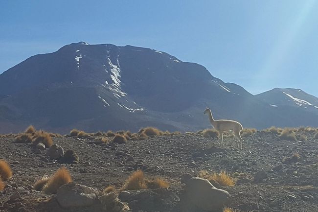 San Pedro de Atacama - Day 2