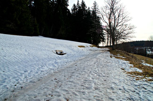 Walk in Schonach