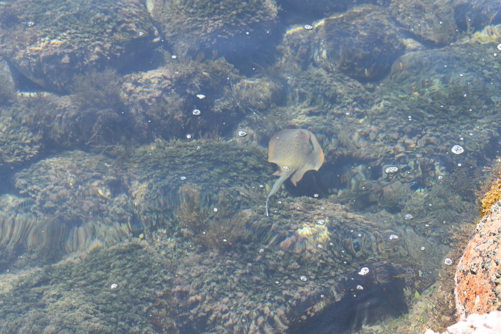 Sunken Reef Bay