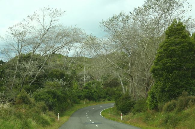 Away from Waitomo to Tongariro National Park