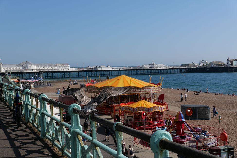 2023 - September  - Brighton