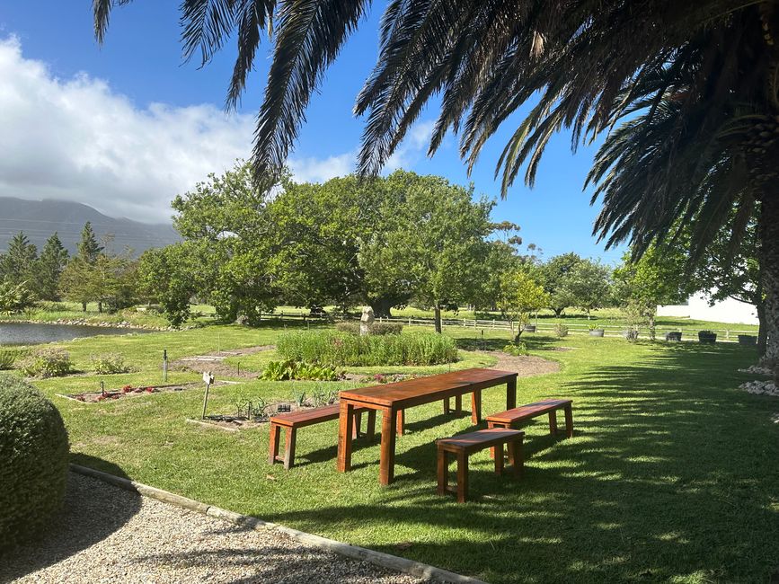 Hermanus ♥️