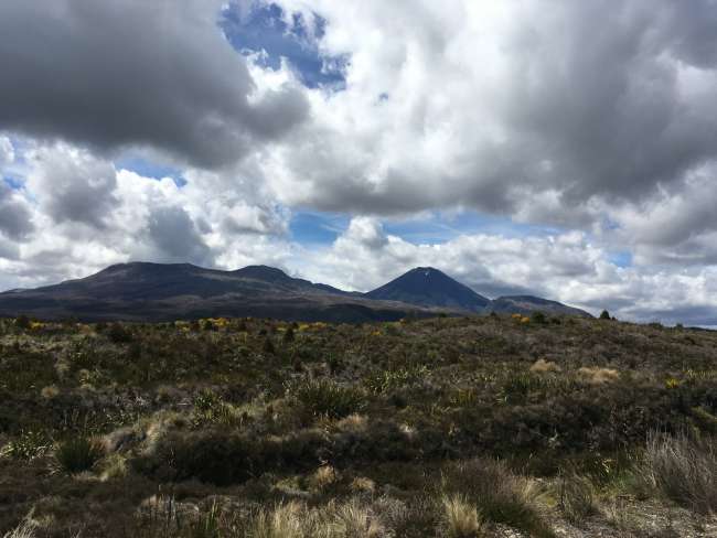 Blick auf den Tongarironationalpark