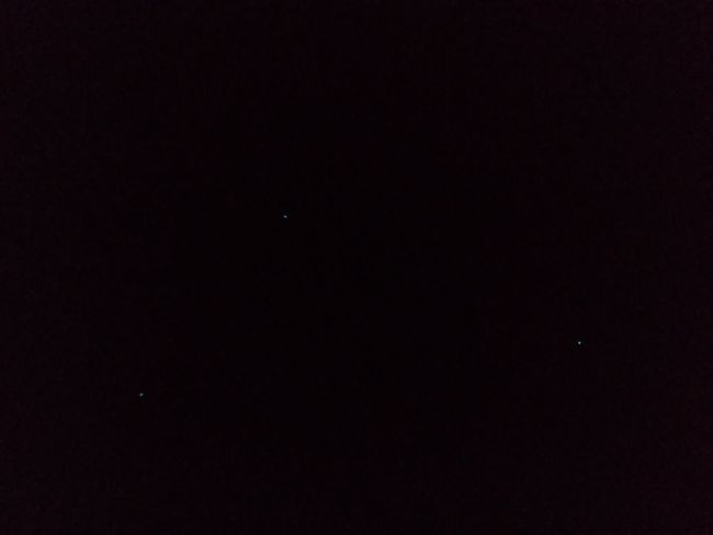 My beautiful photo of the fireflies - do you see the dots? 