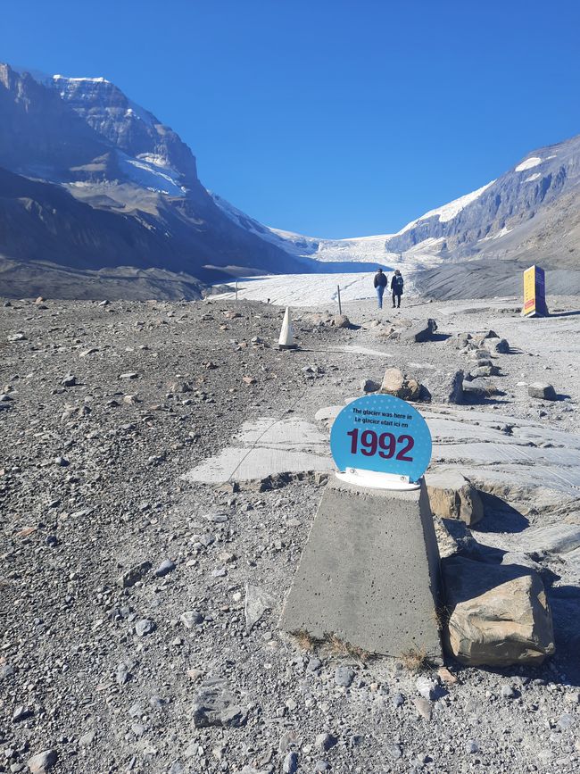 Columbia Icefield und einige Gletscher, die auch einfacher zu Fuß zu erreichen sind - jedenfalls das, was noch da ist.
