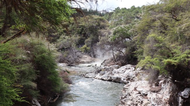 Tag 9 Wai-O-Tapu Thermal Wonderland