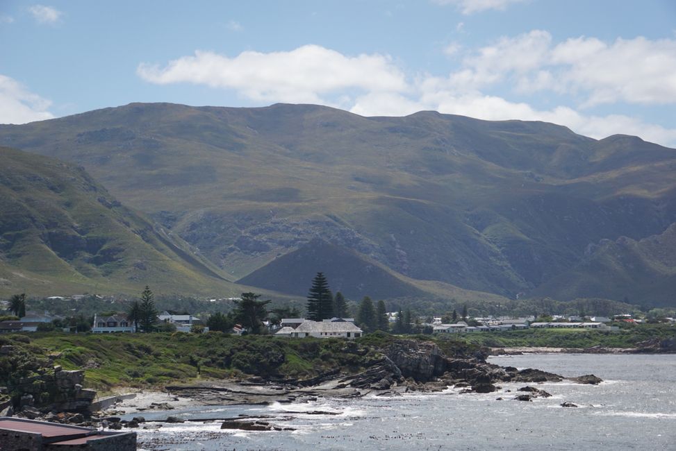 Hermanus ♥️