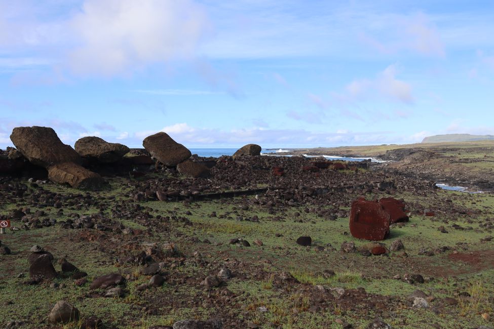 Umgefallene Moai‘s (inkl. rote Hüte)