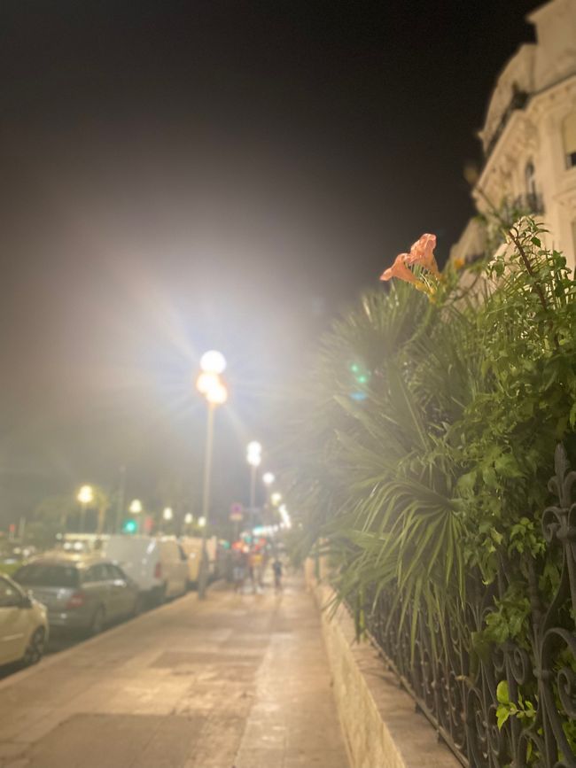 Nizza♥️