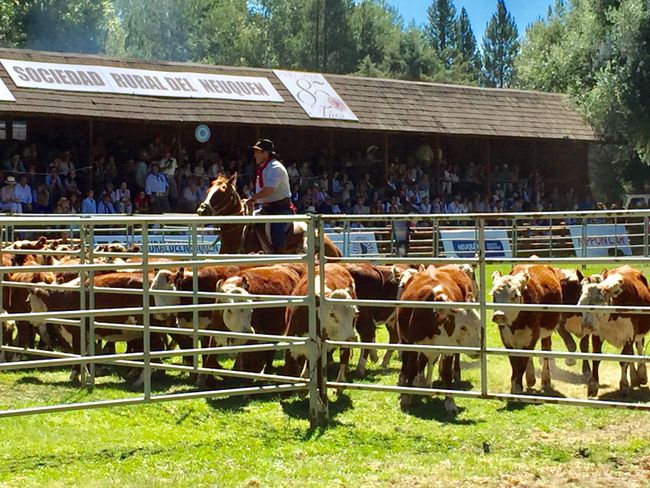 Gaucho festival