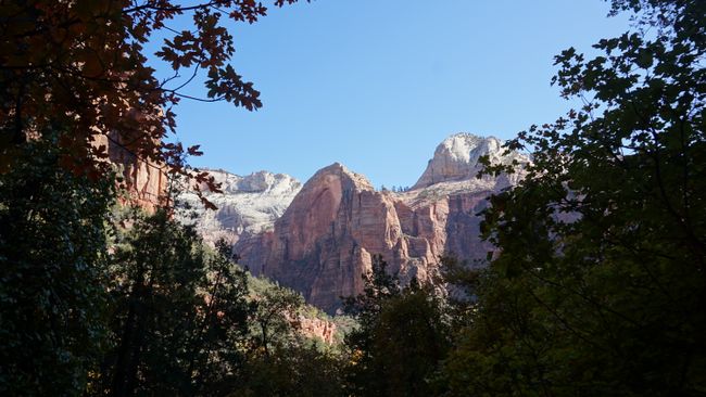 In Zion National Park