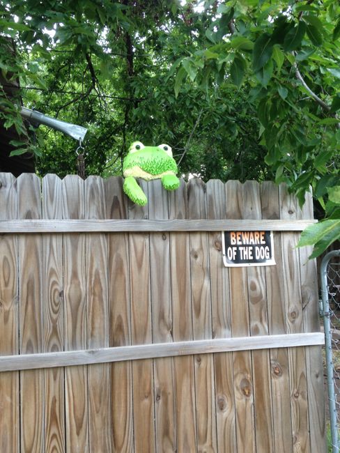 Beware of the Kermit