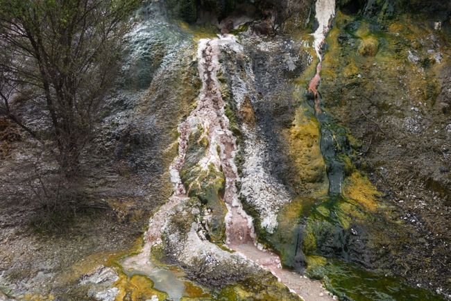 Día 14 • Parque Nacional Tongariro (Whakapapa) - Rotorua