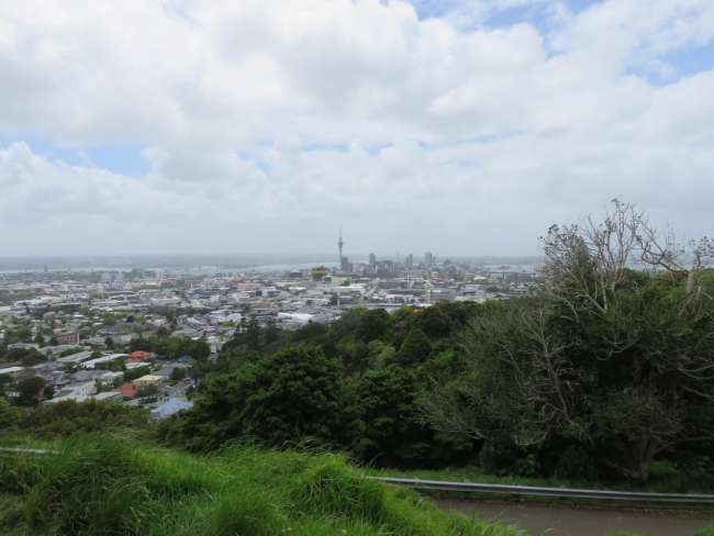 Auckland explorations on foot day 2-4