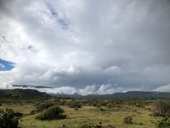 Dreiundzwanzigster Tag: Chiloé (3. Mai 2019)