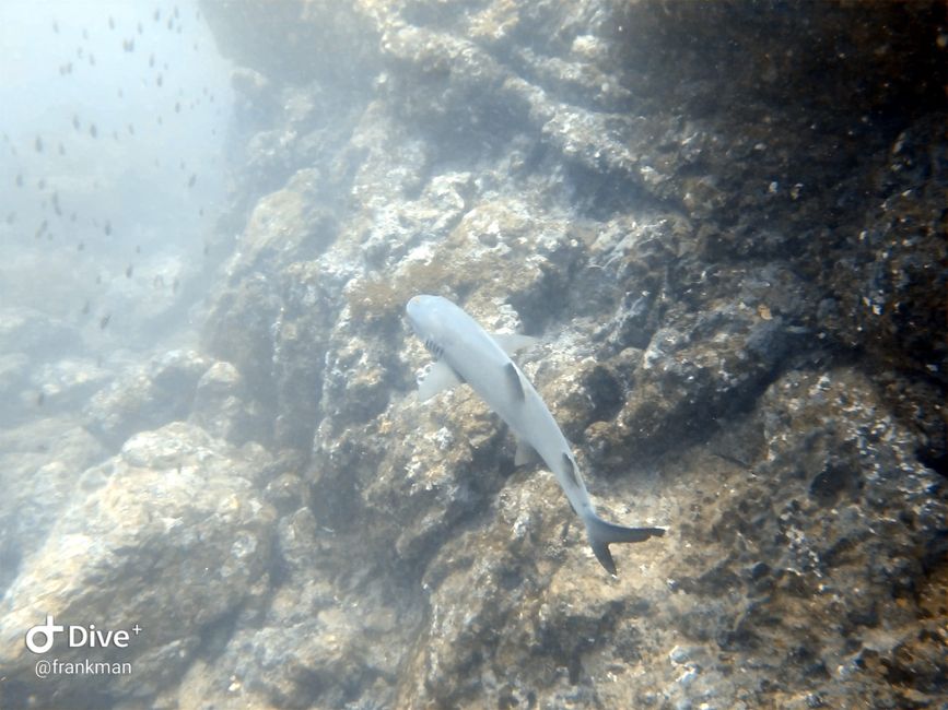 Uvita Day 2 / Isla del Caño (15.5.22)