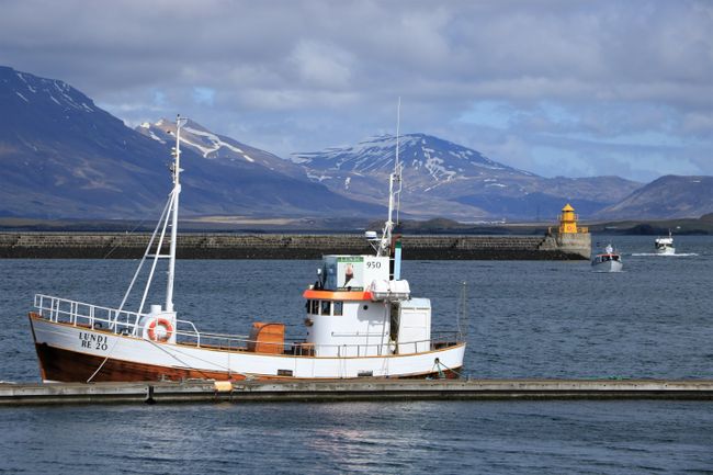 In the harbor of Reykjavik