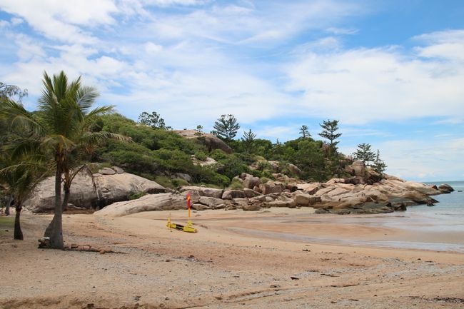 Magnetic Island 🐨