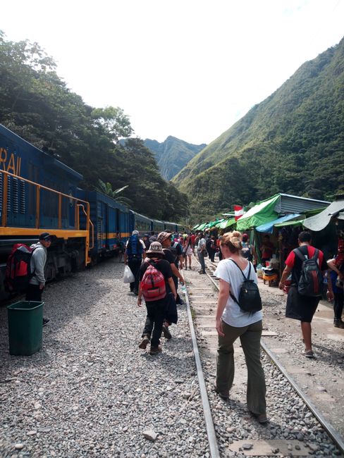 Man kann mit dem Zug hin zum Machu Picchu fahren oder wie wir ihn verpaßen und in der Nacht 2.5 Stunden bei strömendem Regen den Gleisen entlang laufen.