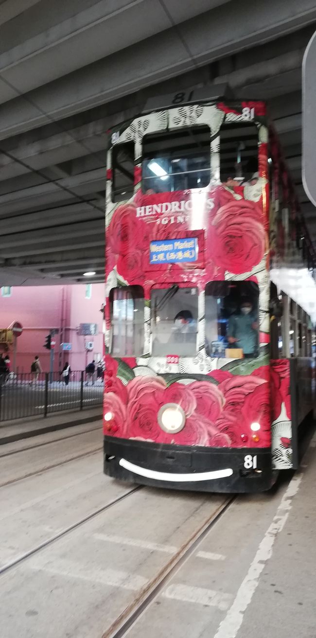 Diese alten Straßenbahnen, die es teilweise schon seit hundert Jahren gibt, prägen mit den unzähligen Bussen das Straßenbild Hongkongs