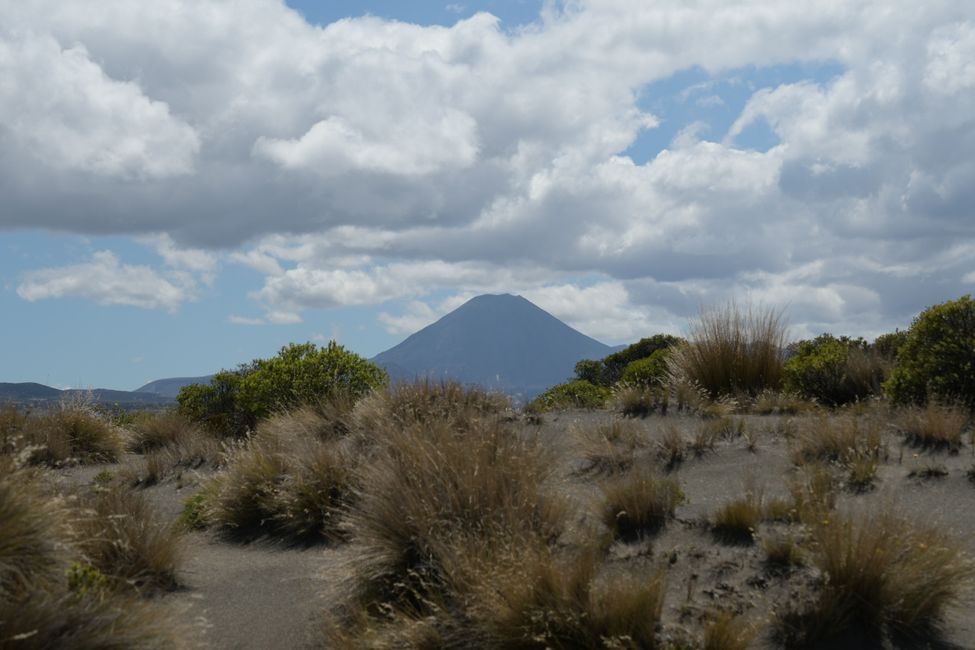 Desert Road: Blick zu Mt.Ngauruhoe