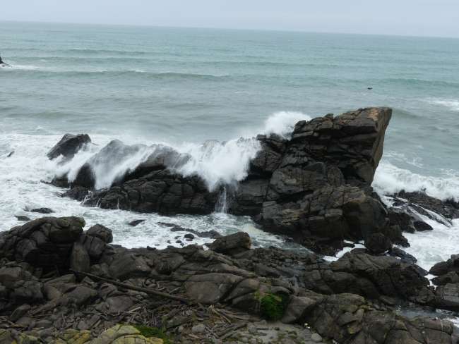 Waves breaking on a rock in front of the seals - that's how they are protected