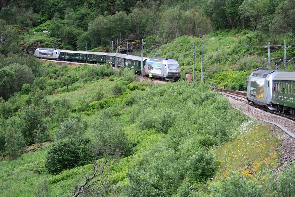 Train crossing on the single-track Flam Railway.