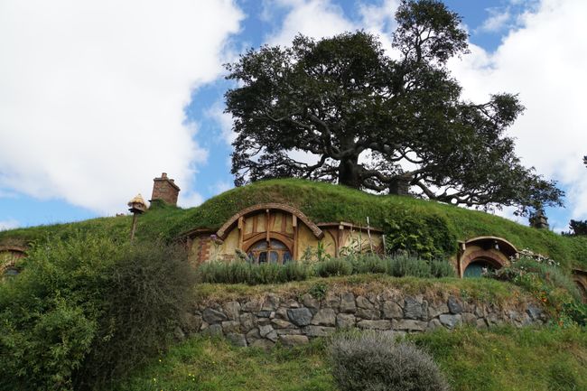 Tongariro Alpine Kwambuka und Hobbiton Movie Set