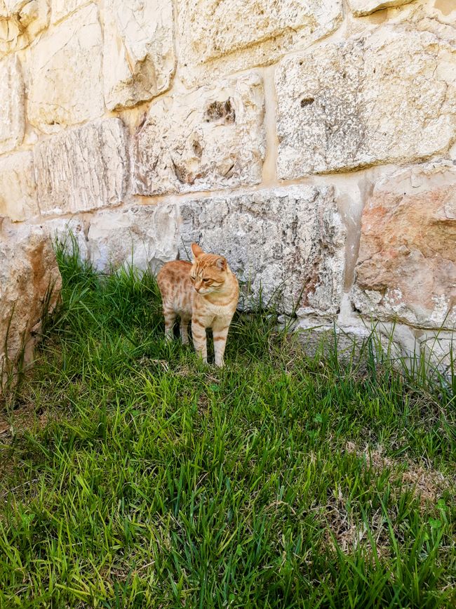 Tag 2: Gerusalemme