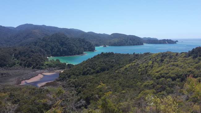 hike in Abel Tasman