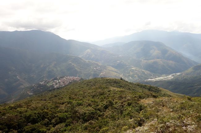 But once you reached the top, you had a great view of the evergreen Yungas.