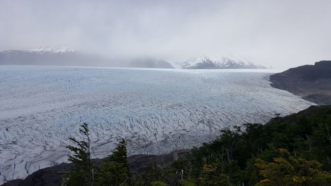 Gletscher Grey