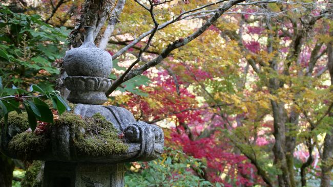 Vancouver Island - The Butchart Gardens - Japanese Garden