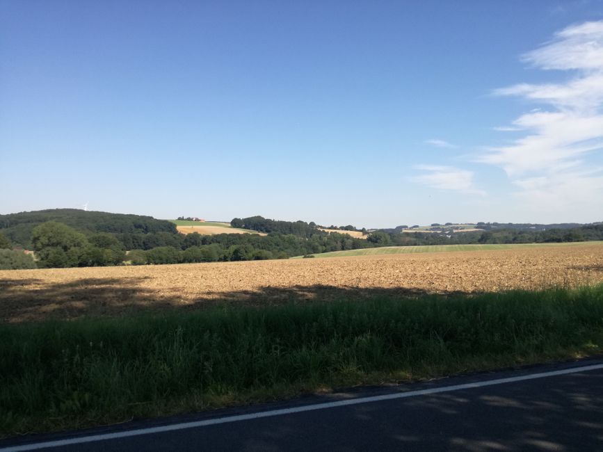 Hilly view