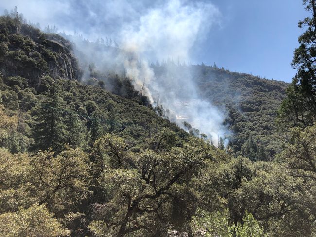 Waldbrand im Yosemite NP