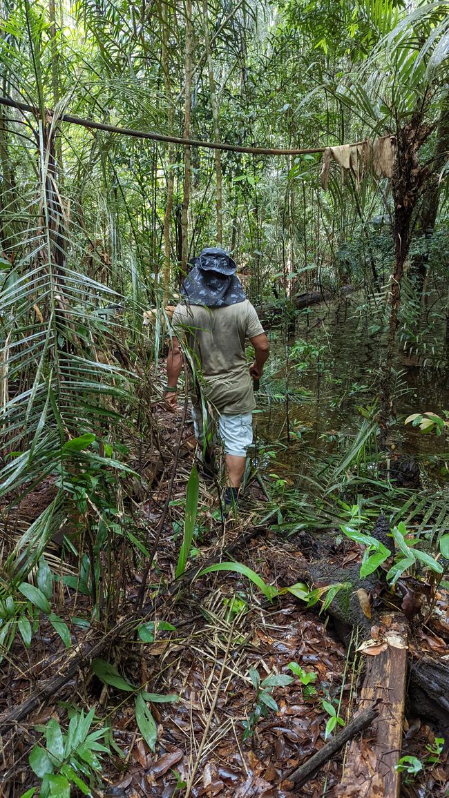 2. Día en la selva amazónica