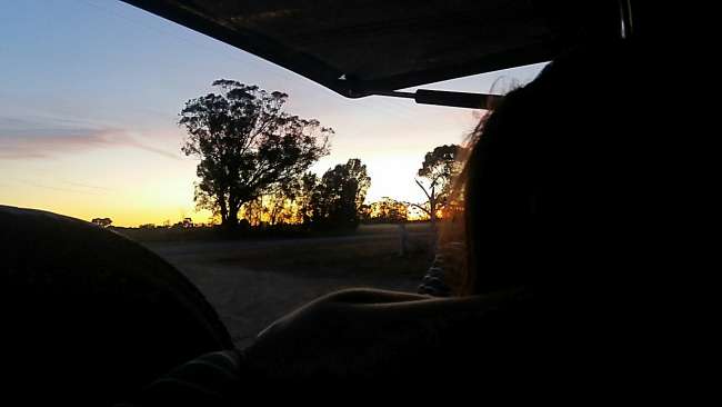 Tootool - Sonnenuntergang im Auto